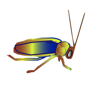 1CUCARACHA-05